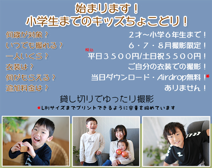 きっずちょこどり